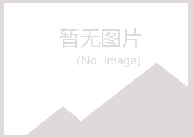 那曲县残缺会计有限公司